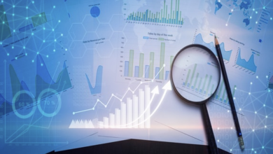 The Role of Data in Machine Learning